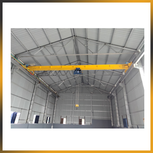 Light Duty EOT Crane Manufacturers